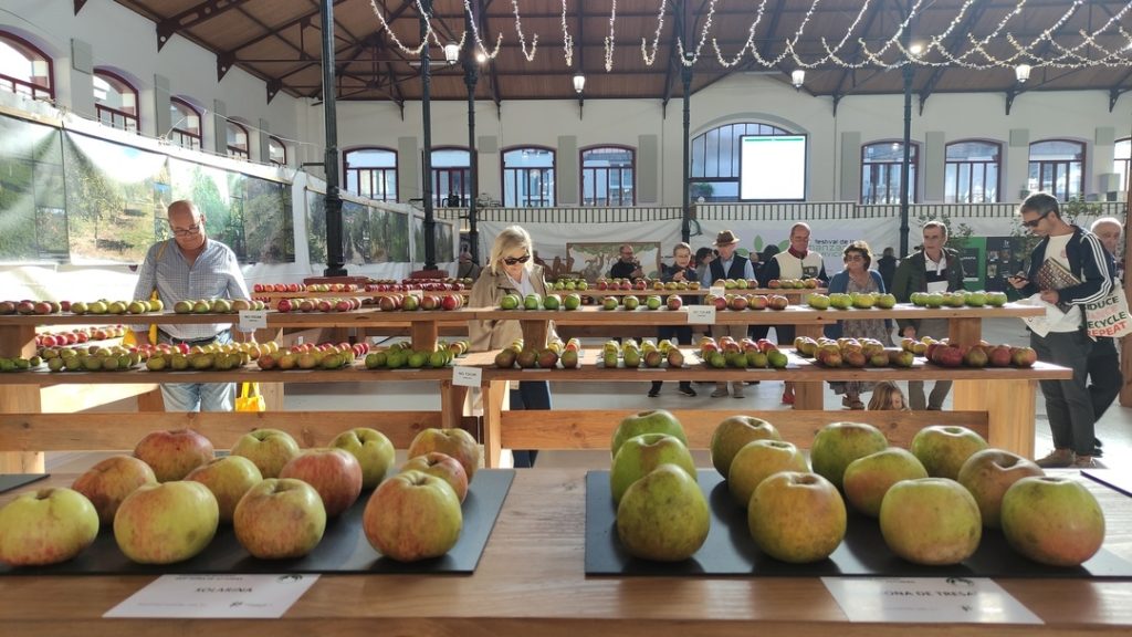 El Ayuntamiento de Villaviciosa apuesta en Fitur por la promoción como destino de turismo agroalimentario y turismo cultural con nuevos formatos de realidad virtual